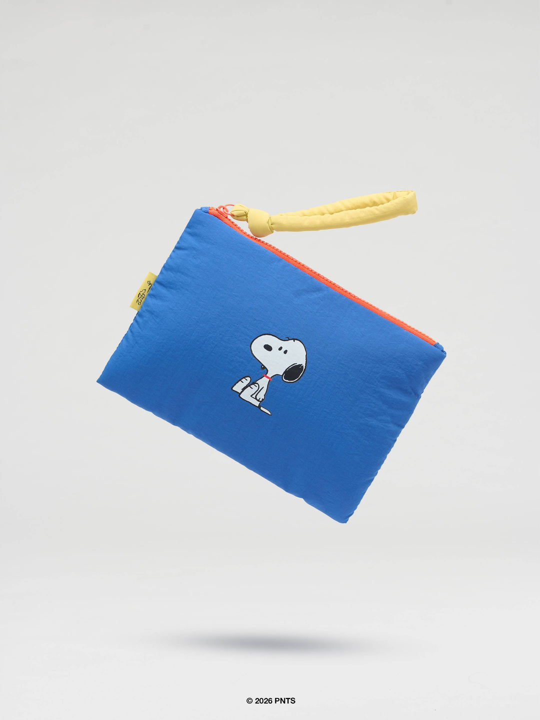 Padded Pouch