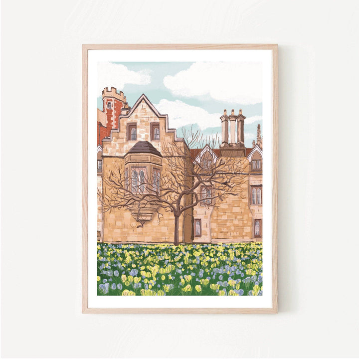 Cambridge England UK Art Print “Trinity College”