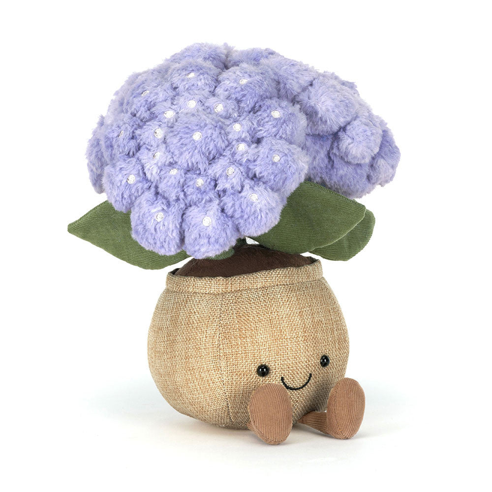 Amuseables ?Hydrangea