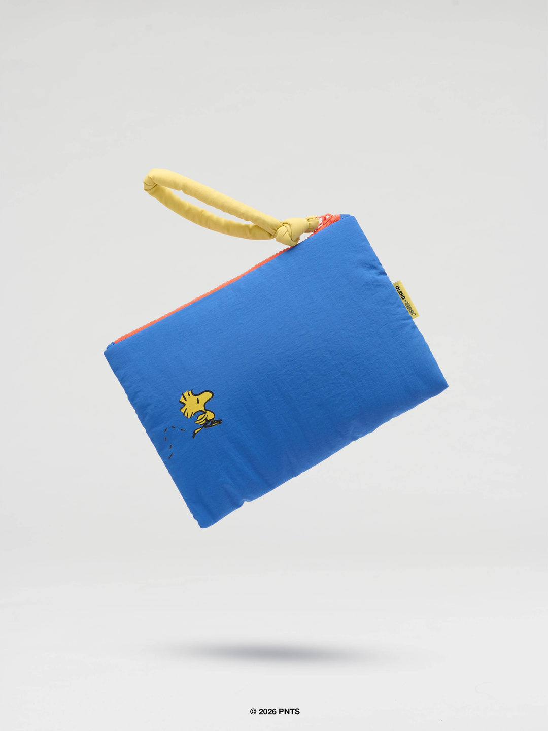 Padded Pouch