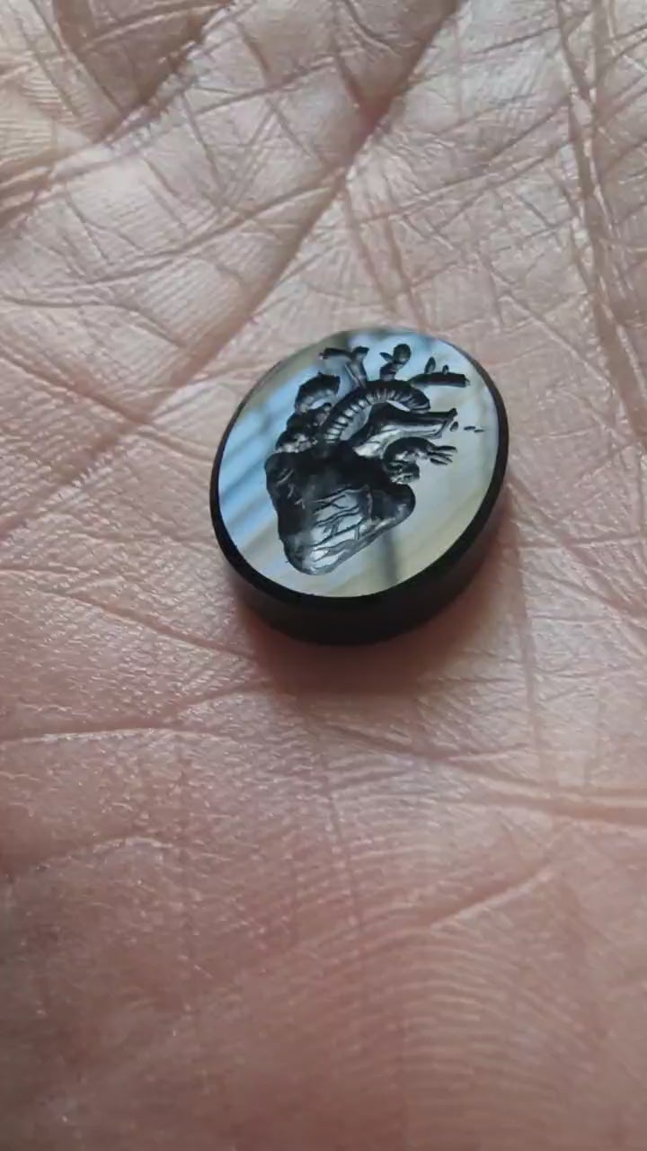 First Glance Brooch