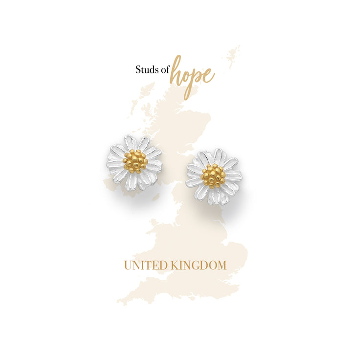Silver and gold pollen Daisy - UK